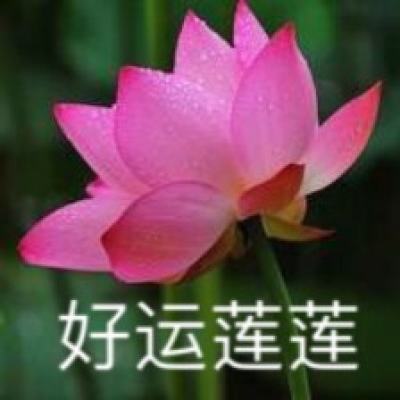 littlelight命运2最新版下载
